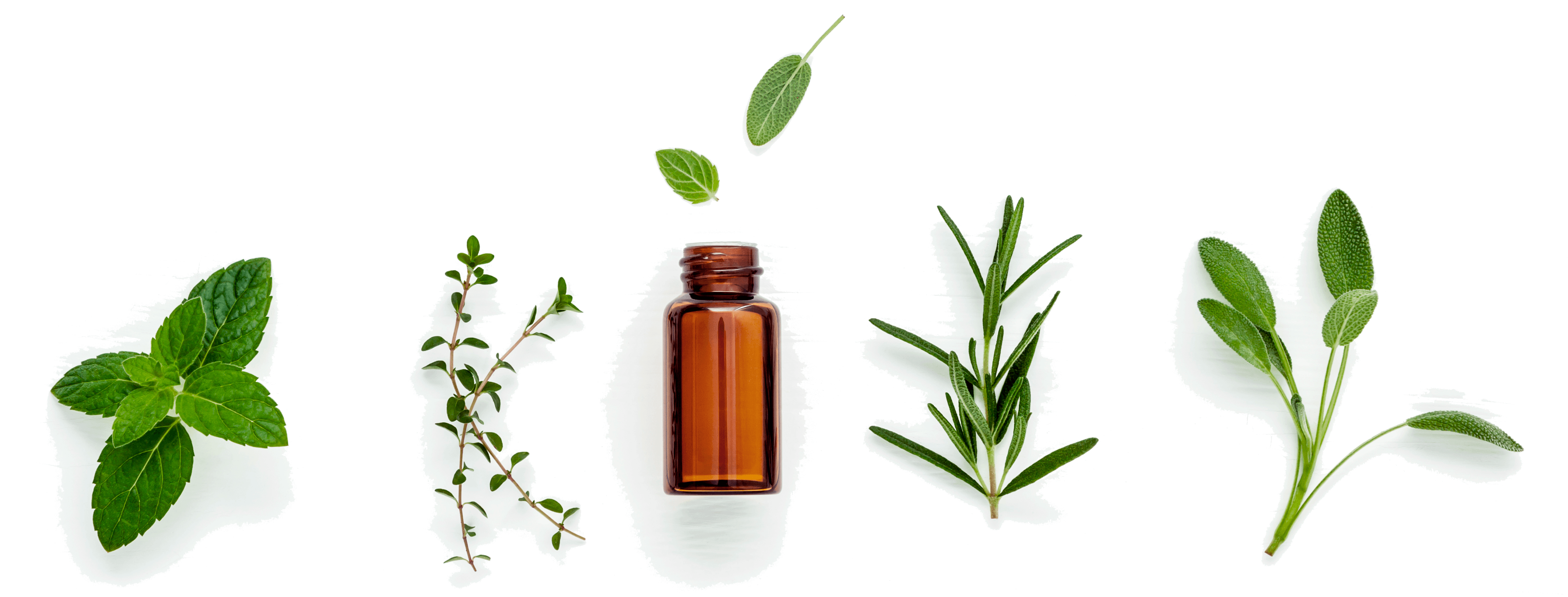 Homoeopathie & Naturheilkunde - Head